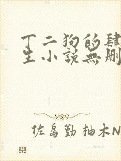 丁二狗的肆意人生小说无删减