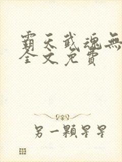 霸天武魂无弹窗全文免费