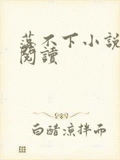 落不下小说免费阅读