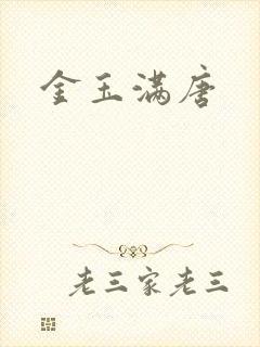 金玉满唐封面