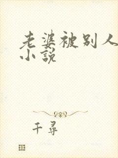 老婆被别人调教小说