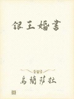 银王婚书封面
