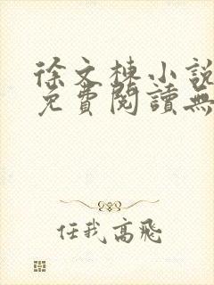 徐文栋小说全文免费阅读无弹窗