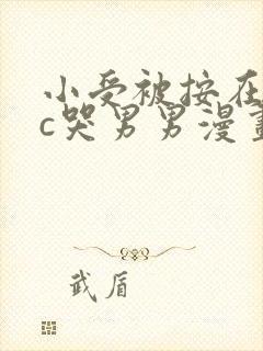小受被按在墙上c哭男男漫画封面
