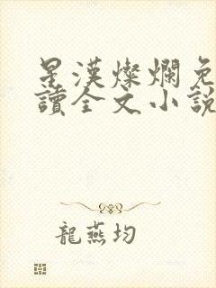 星汉灿烂免费阅读全文小说封面