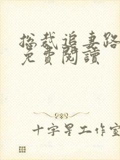 总裁追妻路漫漫免费阅读