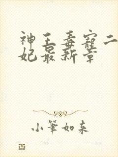 神王毒宠二嫁王妃最新章