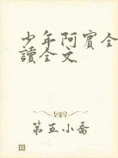 少年阿宾全文阅读全文