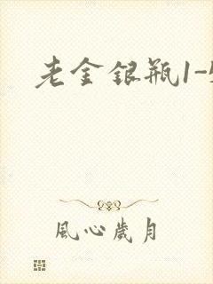 老金银瓶1-5
