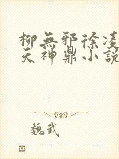 柳无邪徐凌雪吞天神鼎小说封面