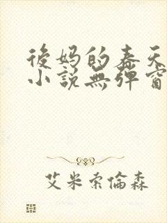 后妈的春天王磊小说无弹窗