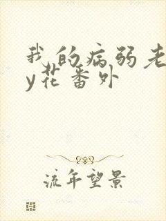 我的病弱老婆by花番外封面
