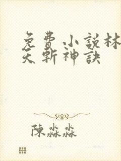 免费小说林辰九天斩神诀