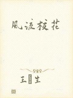 风流校花封面