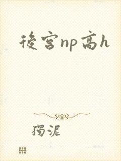 后宫np高h