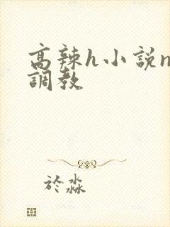 高辣h小说np调教