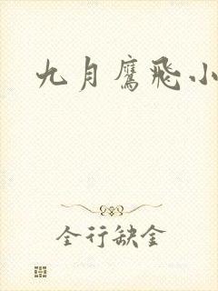 九月鹰飞小说
