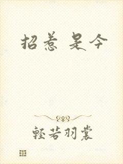 招惹 是今