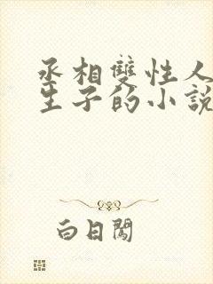 丞相双性人是受生子的小说