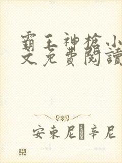 霸王神枪小说全文免费阅读无删减封面