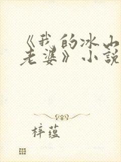 《我的冰山总裁老婆》小说封面