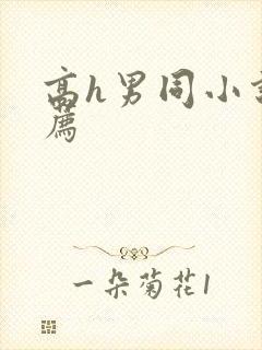 高h男同小说推荐