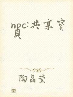 npc:共享宝贝