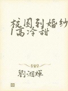 校园到婚纱1V1高冷甜