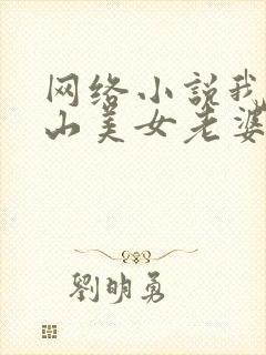 网络小说我的冰山美女老婆