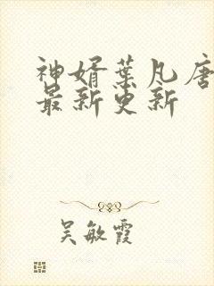神婿叶凡唐若雪最新更新