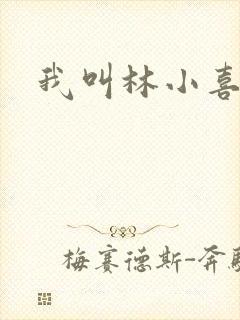 我叫林小喜17