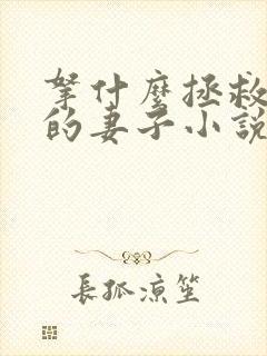 拿什么拯救你我的妻子小说在线阅读