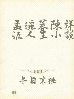 孟琬蓉陈烊的风流人生小说全文阅读