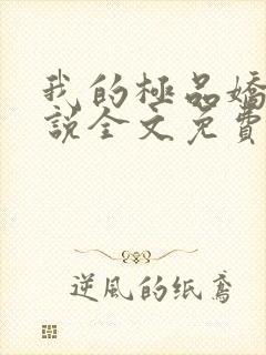 我的极品娇妻小说全文免费阅读
