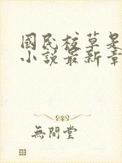 国民校草是女生小说最新章节阅读封面