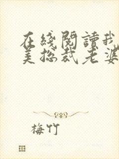 在线阅读我的绝美总裁老婆小说封面