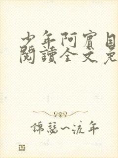 少年阿宾目录线阅读全文免费阅读