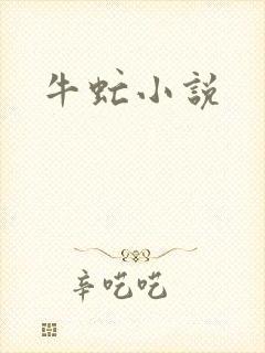 牛虻小说
