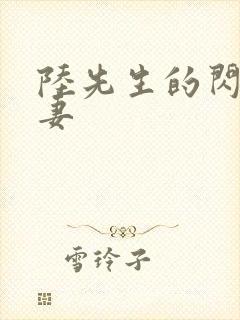 陆先生的闪婚甜妻