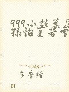 999小说叶辰孙怡夏若雪