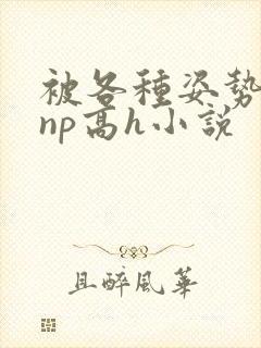 被各种姿势玩弄np高h小说