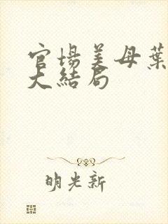 官场美母叶玉瑶大结局封面