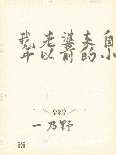 我老婆来自一千年以前的小说txt