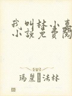 我叫林小喜全文小说免费阅读
