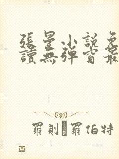 张曼小说免费阅读无弹窗最新章节