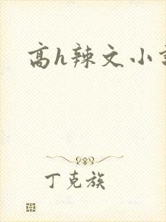 高h辣文小说