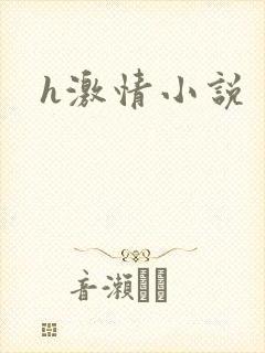 h激情小说封面