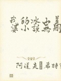 我的冰山美女老婆小说无删减