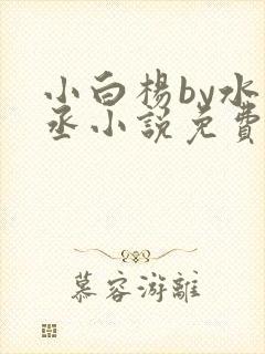 小白杨by水千丞小说免费阅读