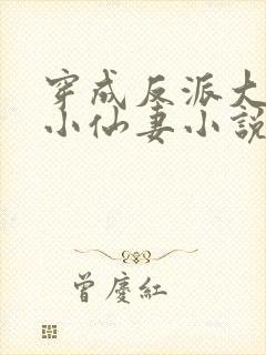 穿成反派大佬的小仙妻小说免费阅读